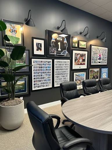 Professional agency environment